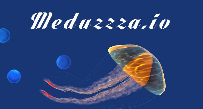 Meduzzza.io