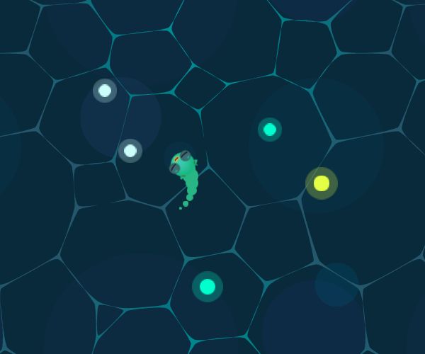 MyFrog.io