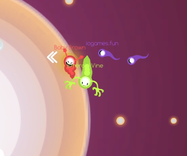 Ovar.io