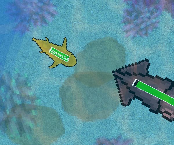 Sharkz.io