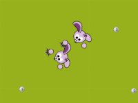 BunnyBrawl