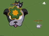 CatsVsDogs