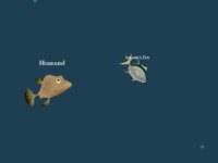 Chops.io