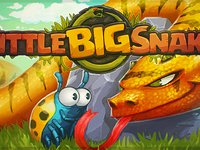 Little Big Snake
